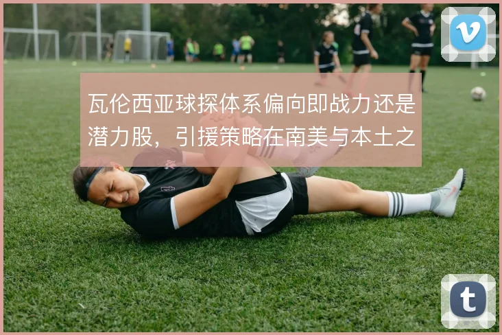 瓦伦西亚球探体系偏向即战力还是潜力股，引援策略在南美与本土之间摇摆